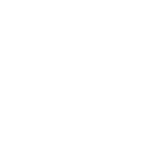 logo-festi-leader